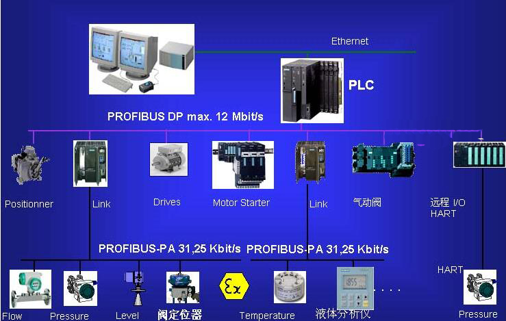 PROFIBUS自动化系统常用现场总线 天美丶91丶果冻mv|天美麻花星空果冻mv|天美果冻乌鸦mv|星空天美mv视频|天美大象麻花高清在线看电视剧|麻花星空mv天美大象，DCS系统专业集成商，全国统一客服热线：400-0551-777